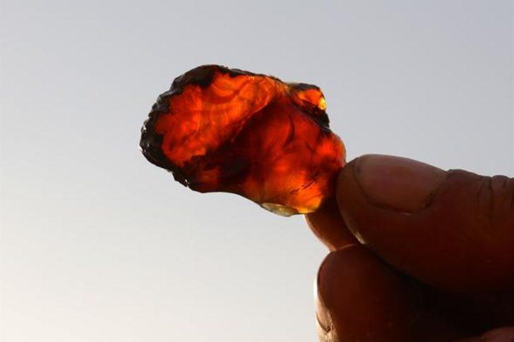 Türkiye'de ilk kez tespit edildi! İnceleniyor...  G1