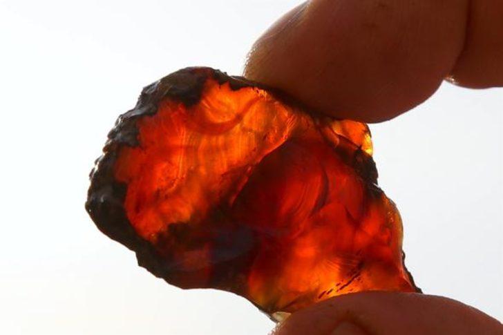 Türkiye'de ilk kez tespit edildi! İnceleniyor...  G3