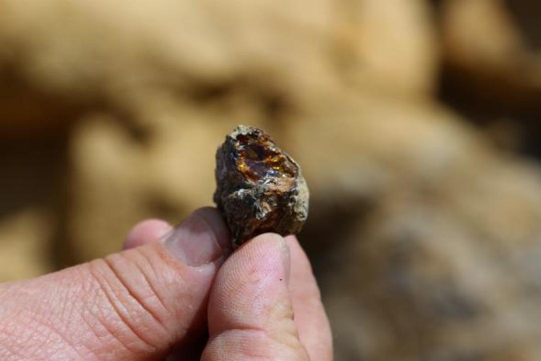 T&uuml;rkiye'de ilk kez tespit edildi! İnceleniyor... 