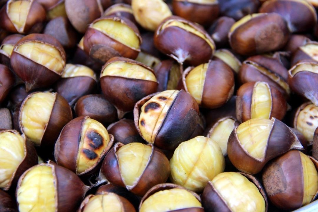 Sezonun ilk kestanesi &ccedil;ıktı