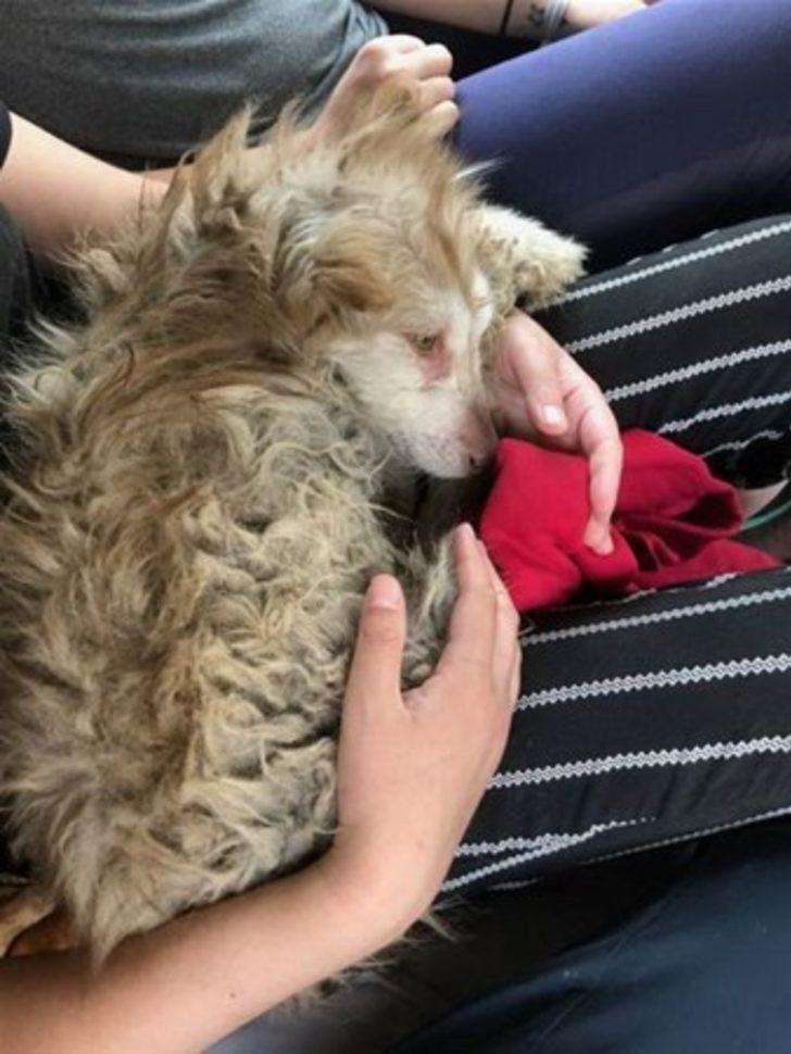 Onu bulduklarında ölmek üzereydi G2