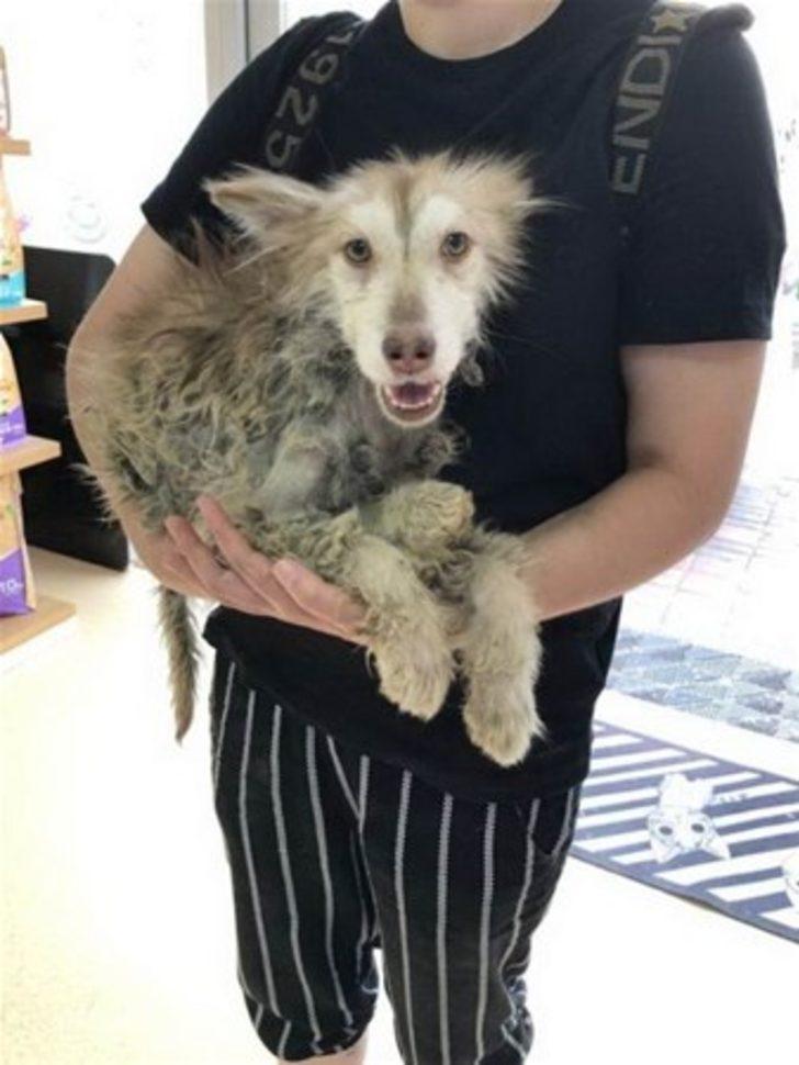 Onu bulduklarında ölmek üzereydi G4