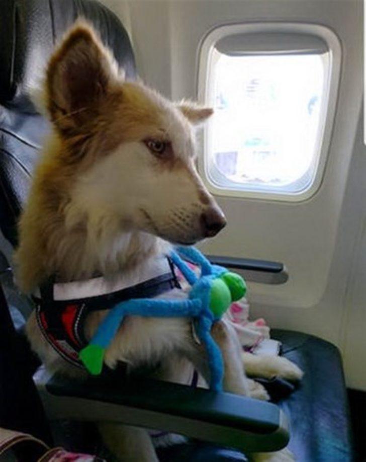 Onu bulduklarında ölmek üzereydi G5