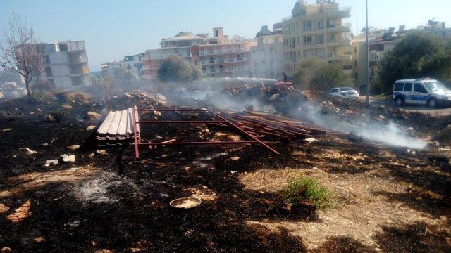 Didim’de makilik yangını korkuttu