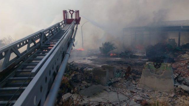 Muğla’da kağıt fabrikasında yangın