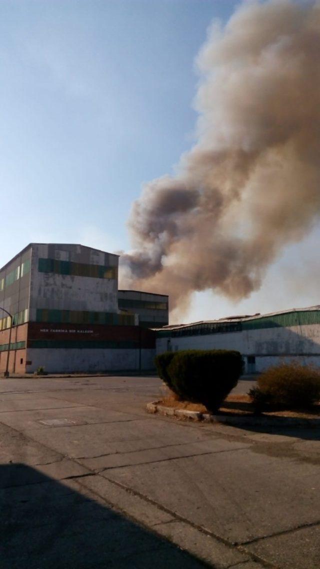 Muğla’da kağıt fabrikasında yangın