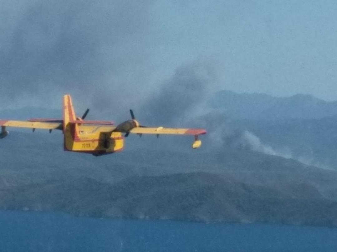 Kaza yapan ara&ccedil; 20 hektar ormanı k&uuml;l etti