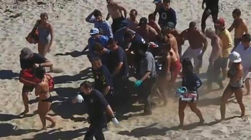 ABD'nin Massachusetts eyaletinde korkun&ccedil; olay: K&ouml;pek balığı saldırısı sonucu bir kişi hayatını kaybetti