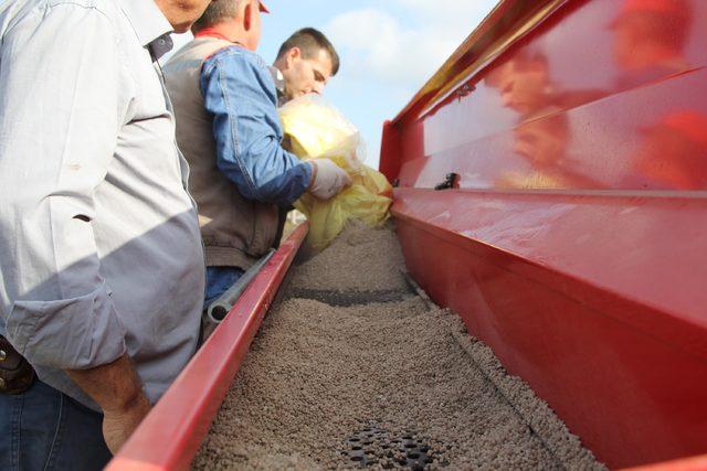İstanbul'da “Milli Tarım Yerli Tohum Deneme Ekimleri” projesinde ilk mısır hasadı yapıldı