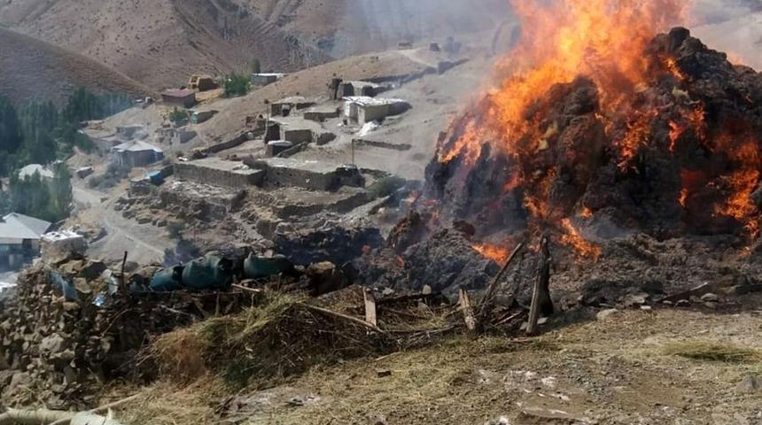 Başkale&rsquo;de 4 bin bağ ot k&uuml;l oldu