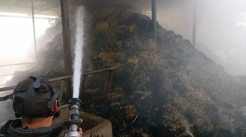 Ahırda yangın &ccedil;ıktı; 1 b&uuml;y&uuml;kbaş hayvan telef oldu