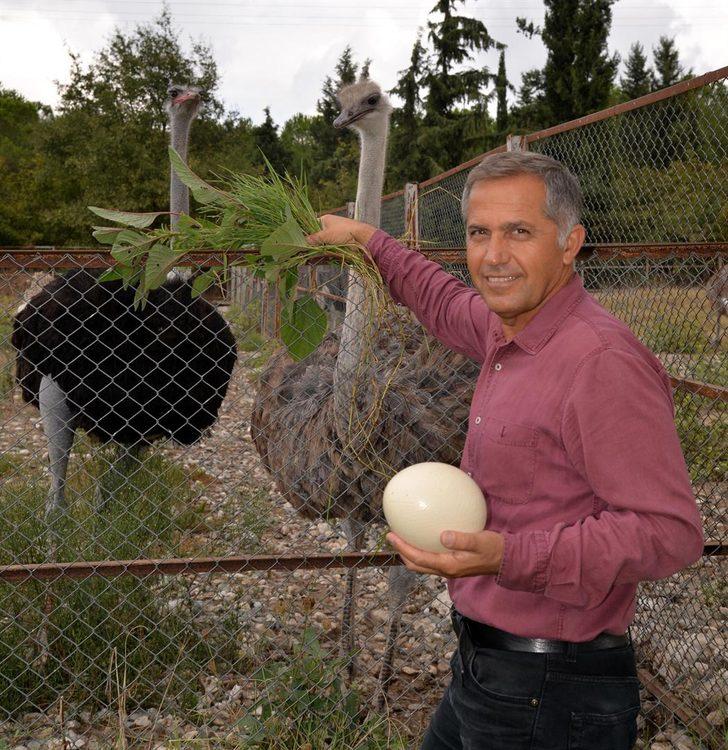 Deve kuşu yumurtasının boşu 100 liradan satılıyor  G2