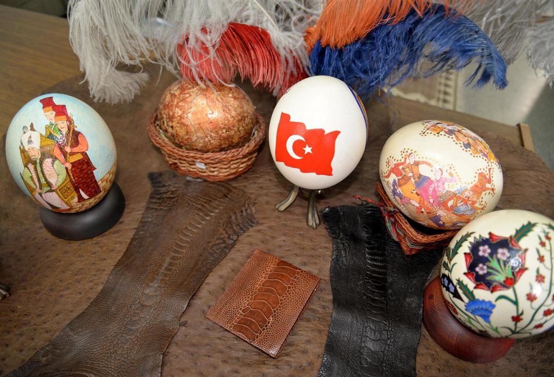 Deve kuşu yumurtasının boşu 100 liradan satılıyor 