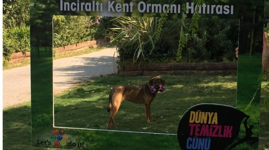 İzmir’i temizleyen ekibe sevimli köpekten yardım