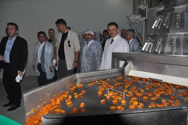 Bakan Pakdemirli, Aydın'da organik incir işleme tesisini gezdi