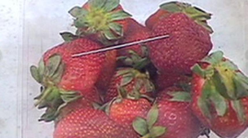 İğneli &ccedil;ilek alarmı! Su&ccedil;luyu ihbar edene 100 bin dolar &ouml;d&uuml;l