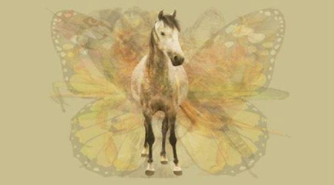 Bu test sosyal medyayı salladı 