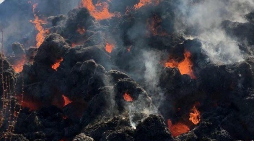 Bing&ouml;l&rsquo;de tonlarca yonca yandı