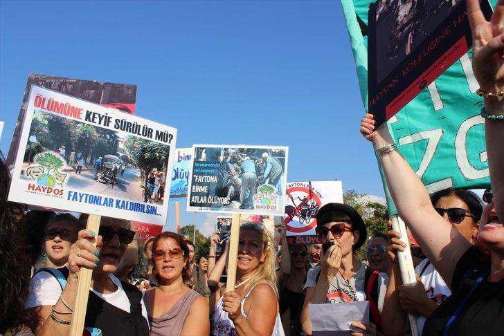 Büyükada'da fayton protestosu  G5