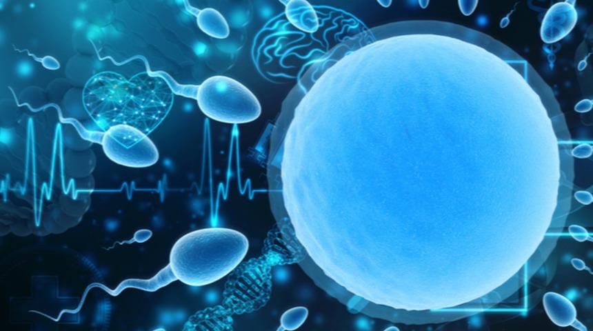 Erkeklere müjde! Balık mevsimi geldi spermler hareketlendi