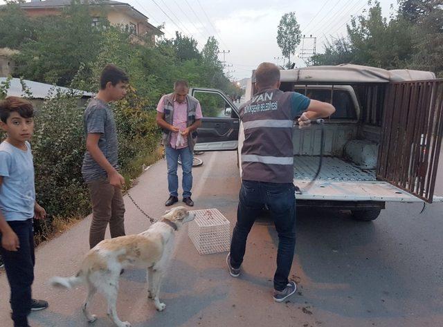 Vanlı çocuklardan örnek davranış