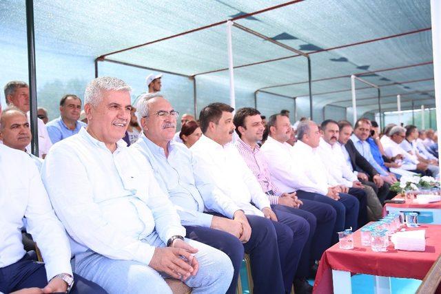 Serik&rsquo;te yağlı g&uuml;reşler nefes kesti 1