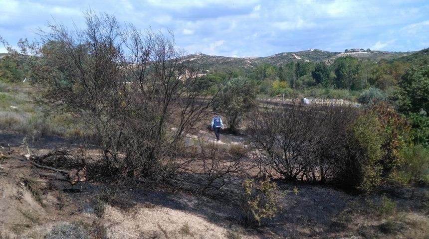 Biga&rsquo;da orman yangını