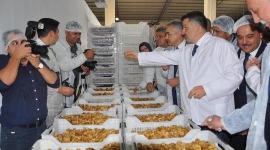 Aydın Ticaret Borsası, Bakan Pakdemirli’den incire destek istedi