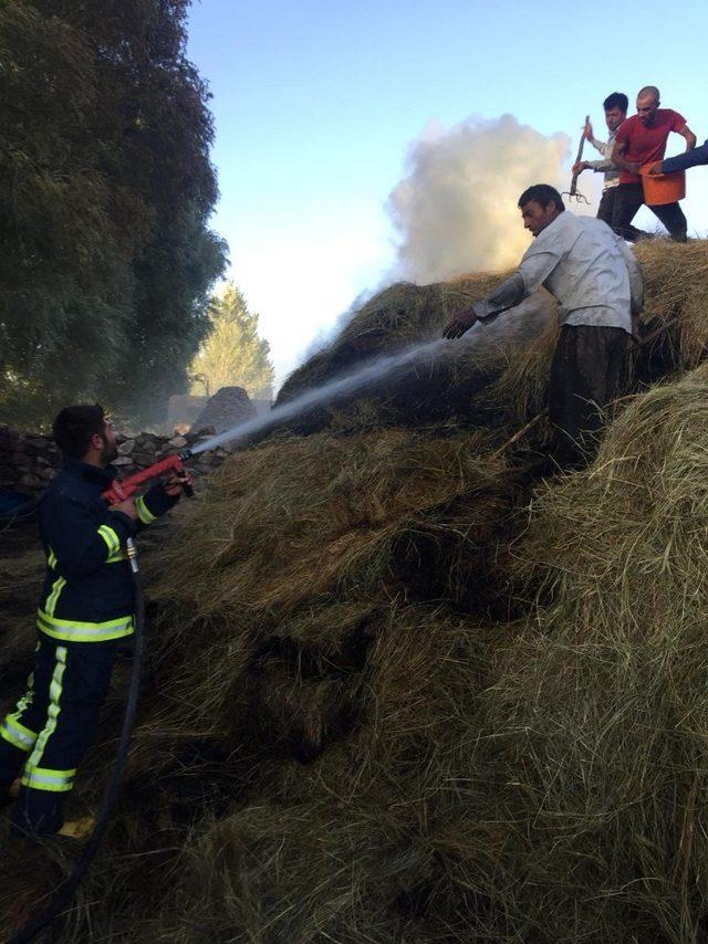 Van’da 3 bin 800 bağ ot yandı