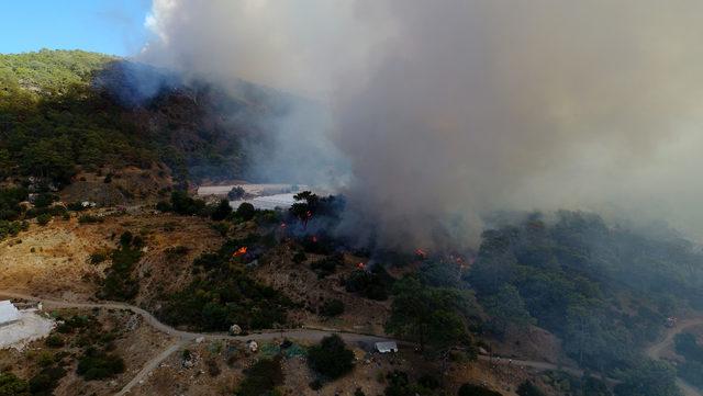 Antalya Kumluca'da orman yangını (3)