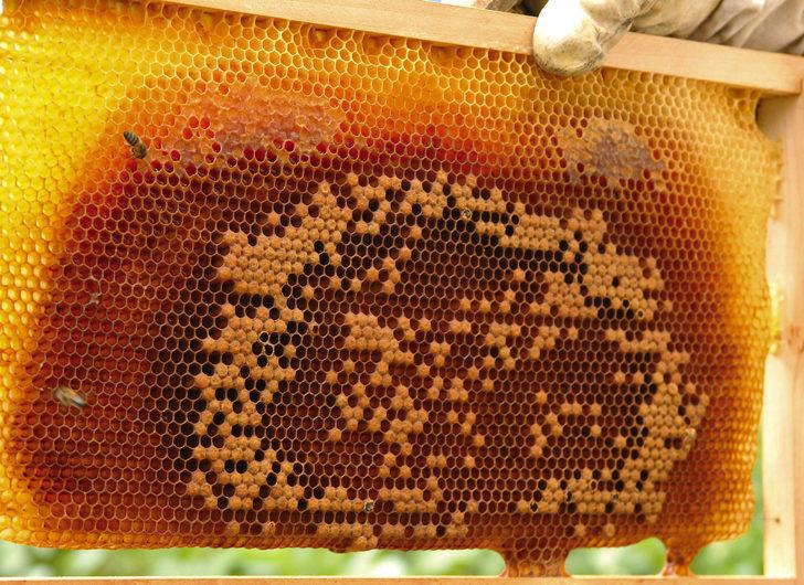 5 ton sipariş geldi! Üretime yetişemiyorlar  G1