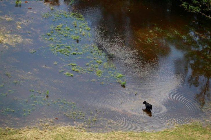 Florence kasırgasında ölenlerin sayısı 31'e yükseldi  G3