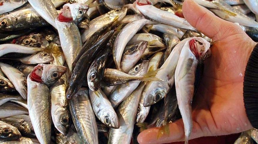 Kırmızı etten sonra bir uyarı da balık için! Aynı tehlike