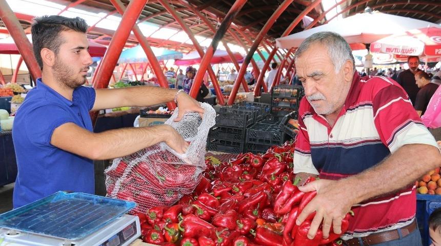 Pazarlarda sal&ccedil;alık biber hareketliliği başladı