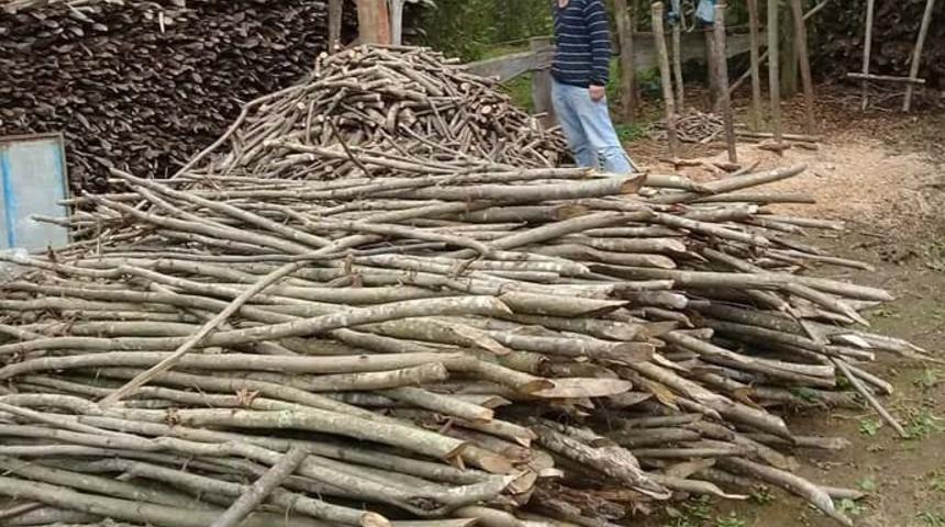 Kışlık odunlar hazır