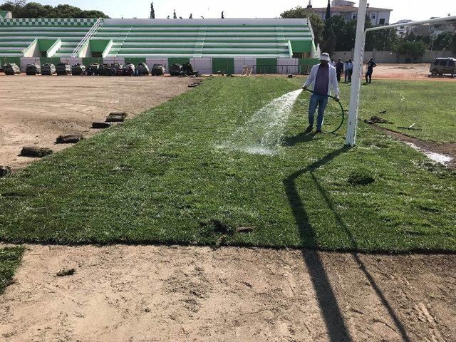 Ramiz Turan Stadı’nda çim ekimine başlandı