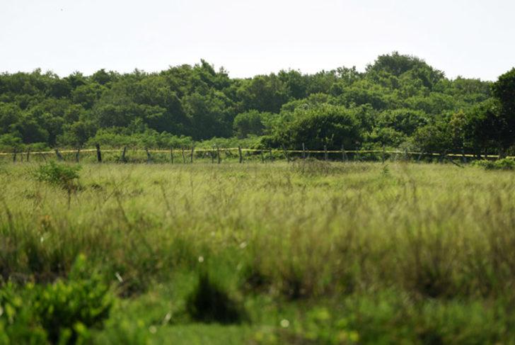 İçi ceset dolu konteyner!  G4