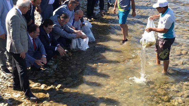 İznik Gölü’ne 500 bin yavru sazan bırakıldı