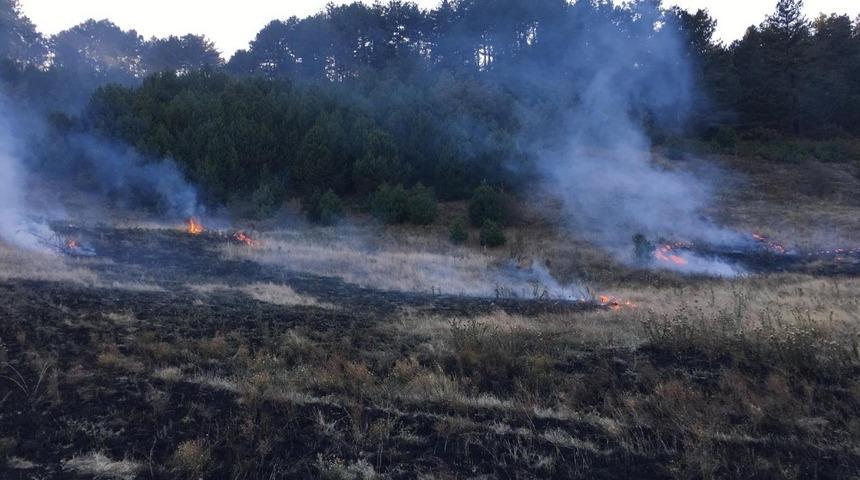 Şaphane&rsquo;de orman yangını