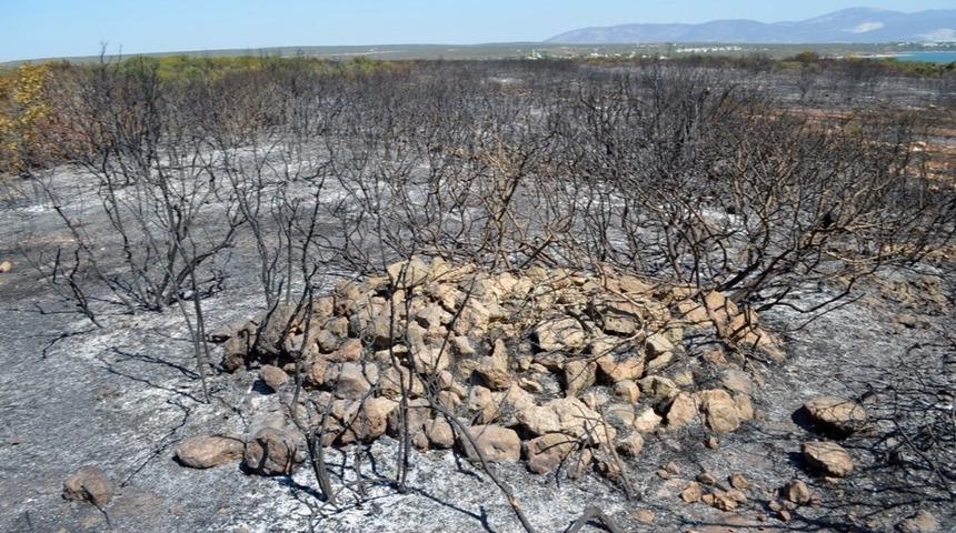 Didim&rsquo;deki yangın faciasının boyutu g&uuml;nd&uuml;z ortaya &ccedil;ıktı