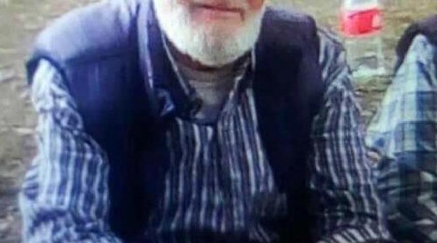 Ceviz toplarken ağaçtan düşerek hayatını kaybetti