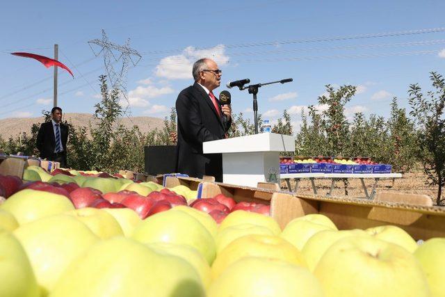 Başkan Öztürk: “Yahyalı’da elma üretimi modernleşmeli”