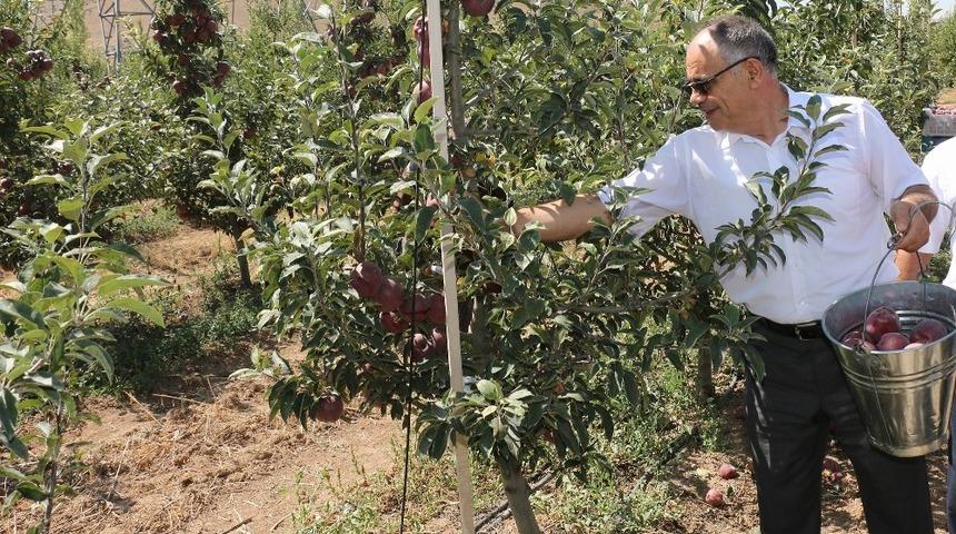 Başkan Öztürk: “Yahyalı’da elma üretimi modernleşmeli”
