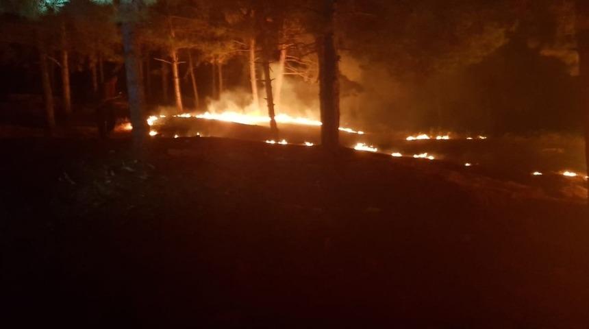 Adıyaman&rsquo;da ormanlık alanda yangın