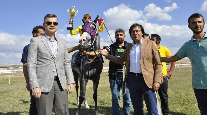 Safkan atlar Mahmudiye&rsquo;de piste &ccedil;ıktı