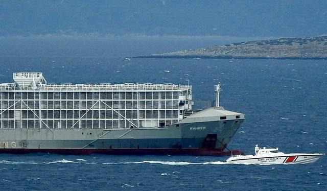 'Gemide şarbonlu hayvan' iddiasıyla ilgili açıklama