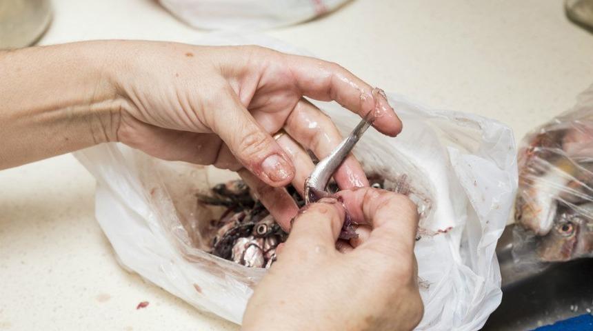 B&uuml;y&uuml;k balıktan k&uuml;&ccedil;&uuml;ğ&uuml;ne kadar t&uuml;m detaylarıyla balık nasıl temizlenir?