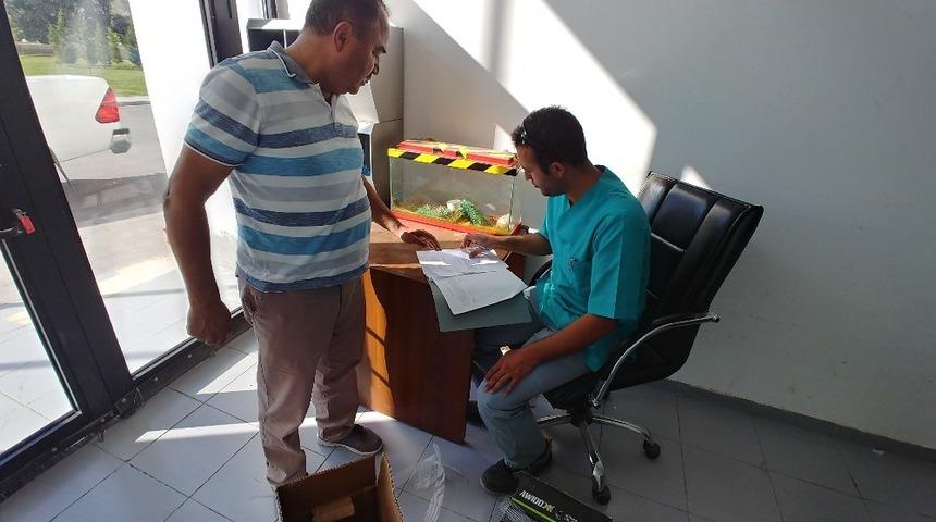 Sultan Sazlığı&rsquo;nda yaralı bulunan kuşlar tedavi altına alındı