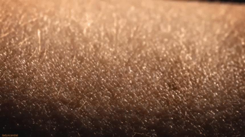 T&uuml;yler Neden Diken Diken Olur?