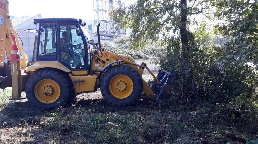 Park ve bah&ccedil;elerde temizlik